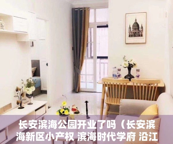 长安滨海公园开业了吗（长安滨海新区小产权 滨海时代学府 沿江高速出口500米）