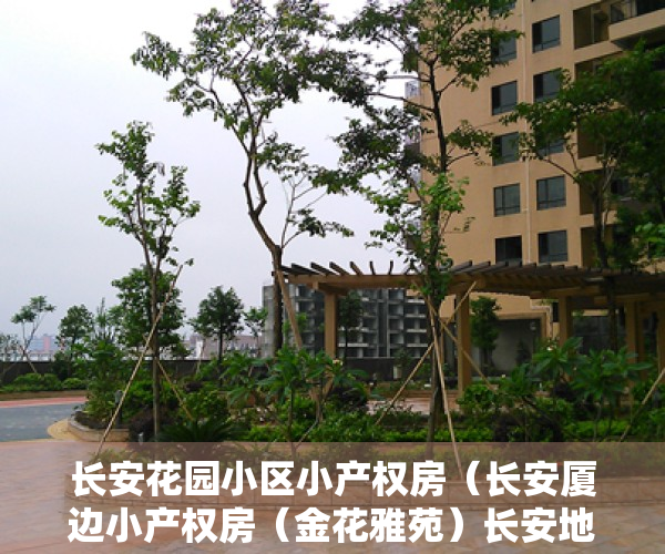 长安花园小区小产权房（长安厦边小产权房（金花雅苑）长安地铁口小产权房（金花雅苑）穗莞深城际轻轨厦边站800米（金花雅苑）带停车场盛大发售）