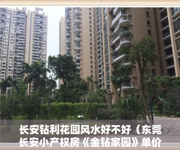 长安钻利花园风水好不好（东莞长安小产权房《金钻家园》单价3880元送精装《莲峰家园》性价比超高）