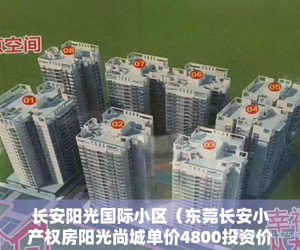 长安阳光国际小区（东莞长安小产权房阳光尚城单价4800投资价值大不大？）