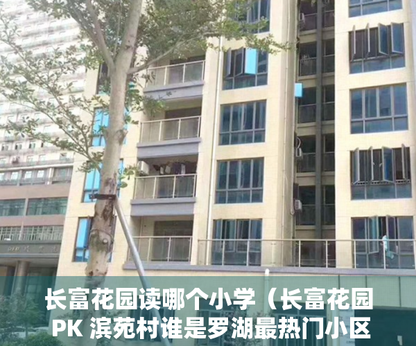 长富花园读哪个小学（长富花园 PK 滨苑村谁是罗湖最热门小区？）