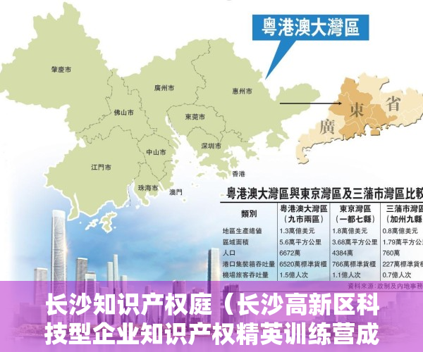 长沙知识产权庭（长沙高新区科技型企业知识产权精英训练营成功举办）