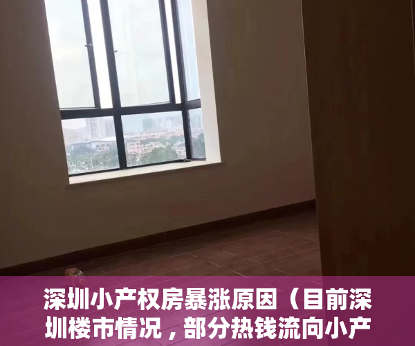 深圳小产权房暴涨原因（目前深圳楼市情况 , 部分热钱流向小产权房）