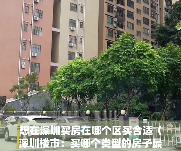 想在深圳买房在哪个区买合适（深圳楼市：买哪个类型的房子最吃香？注意这几点！）