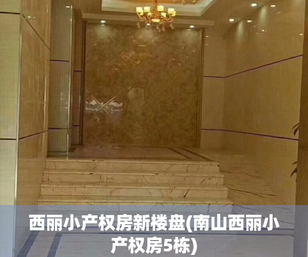 西丽小产权房新楼盘(南山西丽小产权房5栋) 西丽小产权房新楼盘(南山西丽小产权房5栋)
