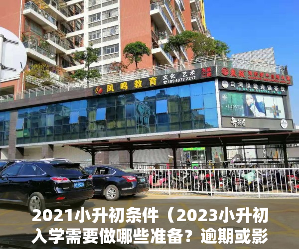 2021小升初条件（2023小升初入学需要做哪些准备？逾期或影响孩子升学！）
