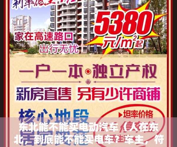 东北能不能买电动汽车（人在东北，到底能不能买电车？车主，符合这3个条件就可以买）