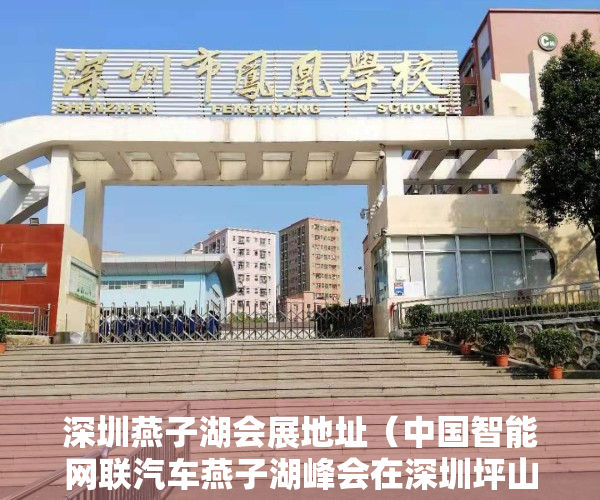 深圳燕子湖会展地址（中国智能网联汽车燕子湖峰会在深圳坪山区举办）