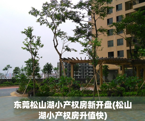 东莞松山湖小产权房新开盘(松山湖小产权房升值快)