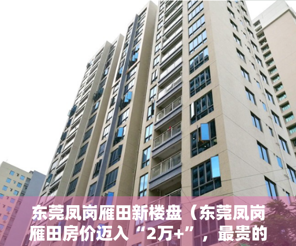 东莞凤岗雁田新楼盘（东莞凤岗雁田房价迈入“2万+”，最贵的小区均价超过3万平）