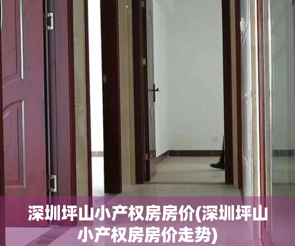 深圳坪山小产权房房价(深圳坪山小产权房房价走势)
