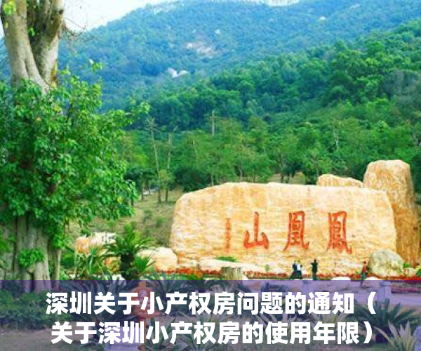 深圳关于小产权房问题的通知（关于深圳小产权房的使用年限）