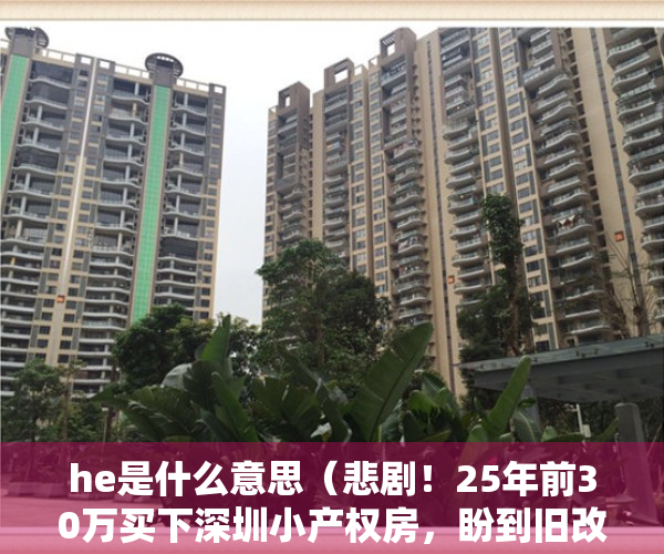 he是什么意思（悲剧！25年前30万买下深圳小产权房，盼到旧改却只赚了活期利息！）
