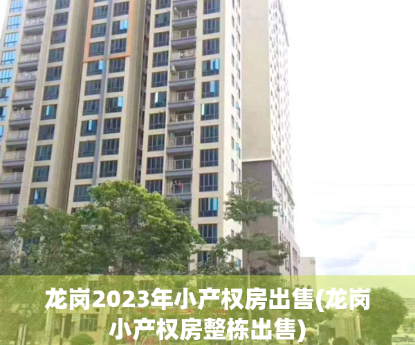 龙岗2023年小产权房出售(龙岗小产权房整栋出售)