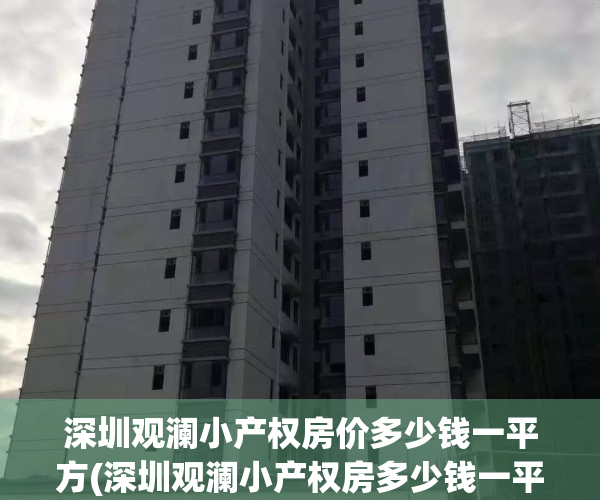 深圳观澜小产权房价多少钱一平方(深圳观澜小产权房多少钱一平米)