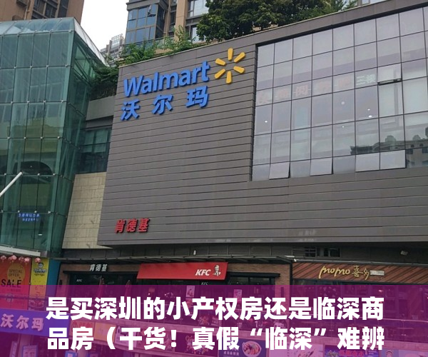 是买深圳的小产权房还是临深商品房（干货！真假“临深”难辨？刚需者买小产权如何正确把握置业风向？）
