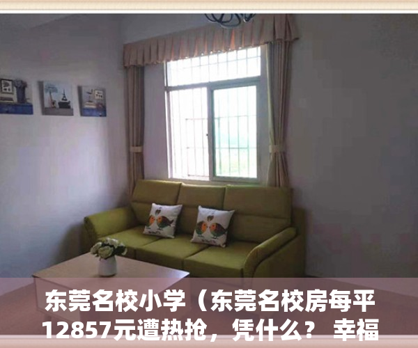 东莞名校小学（东莞名校房每平12857元遭热抢，凭什么？ 幸福里有好房）