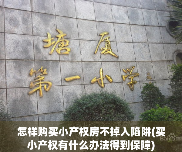 怎样购买小产权房不掉入陷阱(买小产权有什么办法得到保障)
