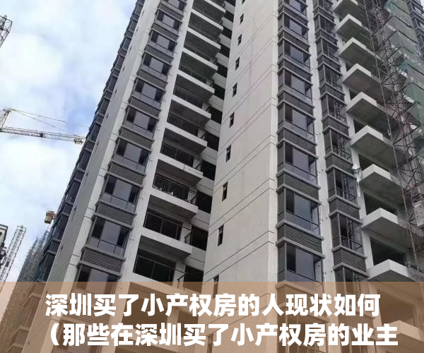 深圳买了小产权房的人现状如何（那些在深圳买了小产权房的业主最后怎么样了？）