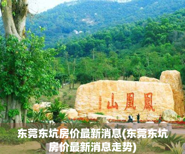东莞东坑房价最新消息(东莞东坑房价最新消息走势)