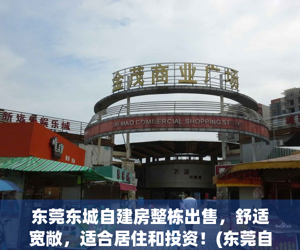东莞东城自建房整栋出售，舒适宽敞，适合居住和投资！(东莞自建房值钱吗)