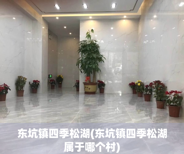 东坑镇四季松湖(东坑镇四季松湖属于哪个村)