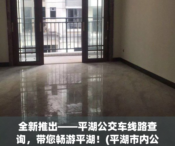全新推出——平湖公交车线路查询，带您畅游平湖！(平湖市内公交线路)