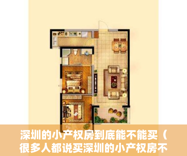 深圳的小产权房到底能不能买（很多人都说买深圳的小产权房不保障，为什么还有那么多人敢买？）