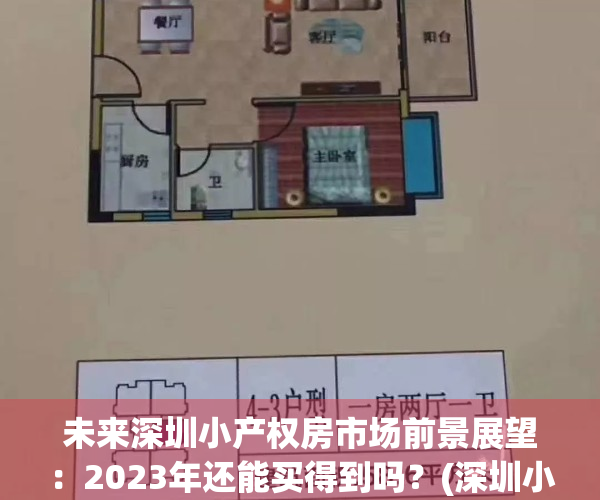 未来深圳小产权房市场前景展望：2023年还能买得到吗？(深圳小产权房价格上涨)