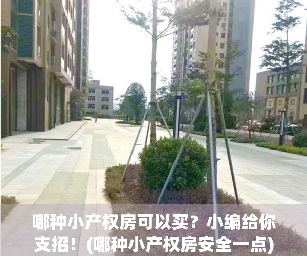哪种小产权房可以买？小编给你支招！(哪种小产权房安全一点)