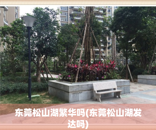东莞松山湖繁华吗(东莞松山湖发达吗)