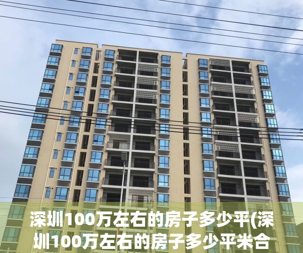 深圳100万左右的房子多少平(深圳100万左右的房子多少平米合适)
