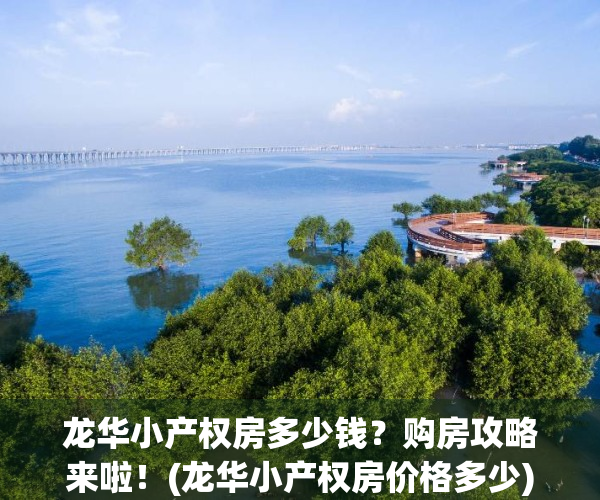 龙华小产权房多少钱？购房攻略来啦！(龙华小产权房价格多少)