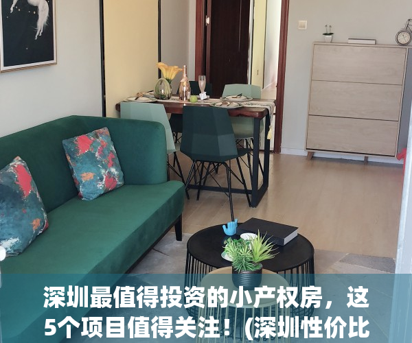 深圳最值得投资的小产权房，这5个项目值得关注！(深圳性价比高的小产权房小区)