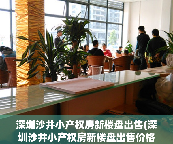 深圳沙井小产权房新楼盘出售(深圳沙井小产权房新楼盘出售价格)