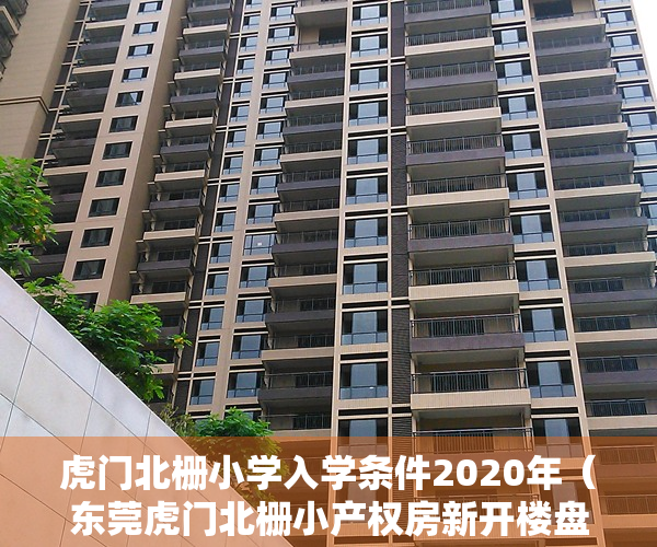 虎门北栅小学入学条件2020年（东莞虎门北栅小产权房新开楼盘「学府春天」虎门北栅三栋社区，4980元平起！）