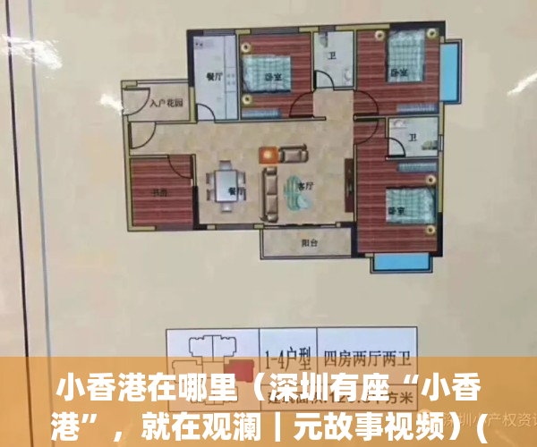 小香港在哪里（深圳有座“小香港”，就在观澜｜元故事视频）(小香港的)