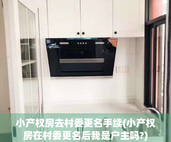 小产权房去村委更名手续(小产权房在村委更名后我是户主吗?)