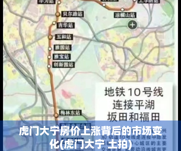 虎门大宁房价上涨背后的市场变化(虎门大宁 土拍)
