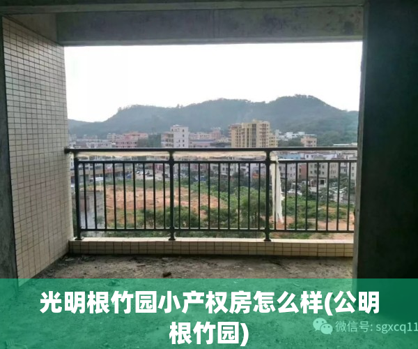 光明根竹园小产权房怎么样(公明根竹园)