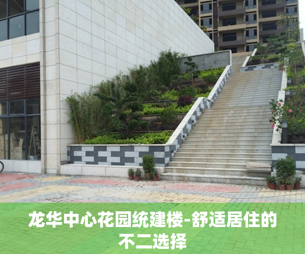 龙华中心花园统建楼-舒适居住的不二选择