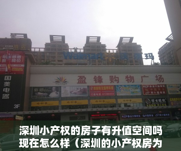 深圳小产权的房子有升值空间吗现在怎么样（深圳的小产权房为何能成为一线城市的代表？）