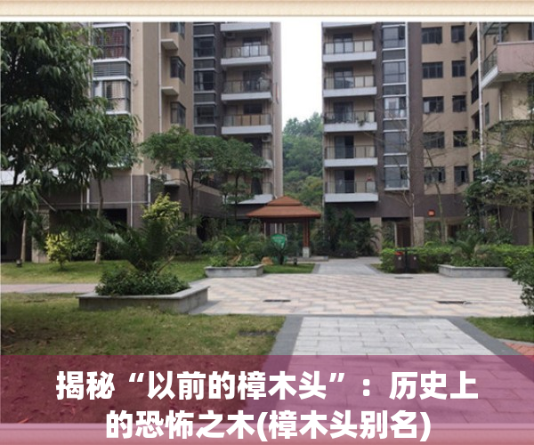 揭秘“以前的樟木头”：历史上的恐怖之木(樟木头别名)