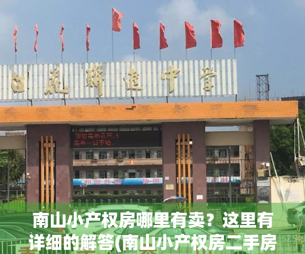南山小产权房哪里有卖？这里有详细的解答(南山小产权房二手房出售)