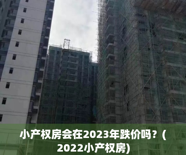 小产权房会在2023年跌价吗？(2022小产权房)
