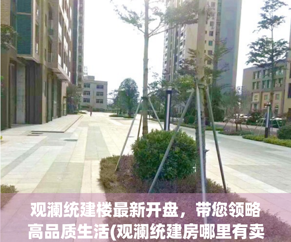 观澜统建楼最新开盘，带您领略高品质生活(观澜统建房哪里有卖)