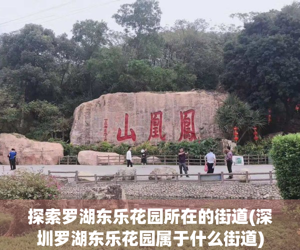 探索罗湖东乐花园所在的街道(深圳罗湖东乐花园属于什么街道)