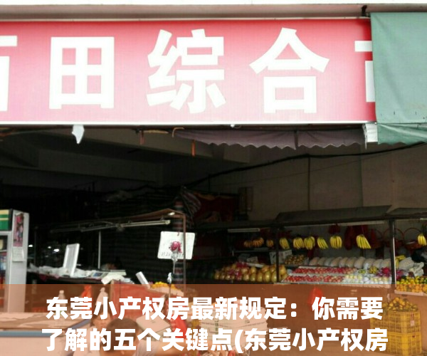 东莞小产权房最新规定：你需要了解的五个关键点(东莞小产权房最新政策出台)