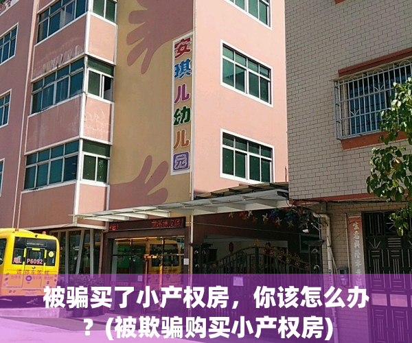 被骗买了小产权房，你该怎么办？(被欺骗购买小产权房)