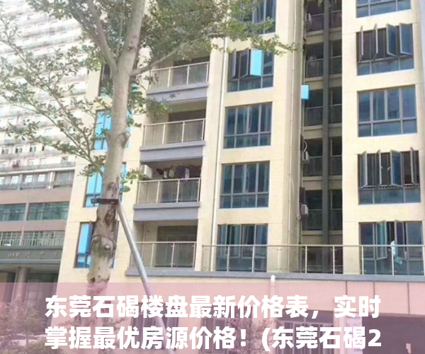 东莞石碣楼盘最新价格表，实时掌握最优房源价格！(东莞石碣2021年各盘楼价)